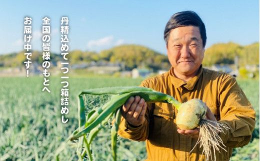 【新玉ねぎ】淡路島たまねぎ（10キロ）【発送時期：2026年5月頃】　玉ねぎ 産地直送