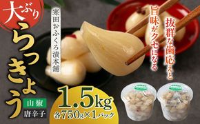 【2026年7月中旬以降順次発送】らっきょう 1.5kg（唐辛子750g・山椒750g）　《築上町》【寒田おふくろ漬本舗】[ABDO005]