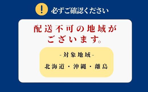 2G14ドライフラワー クリスマス木の実ツリー