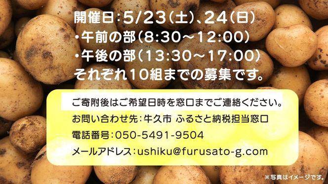 じゃがいも 「 とうや 」 収穫体験 (5/23（土）、5/24（日）開催) ジャガイモ 芋 収穫体験チケット 収穫 収穫体験 体験 チケット 観光 旅行 自然 農業体験 お土産 持ち帰り