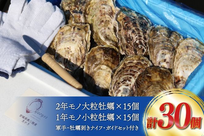 【期間限定発送】 殻付き 牡蠣 計30個 2種(三陸ジオイスター ＆ OMAKI ) 食べ比べ セット 各15個 牡蠣ナイフ付 [Geoyst 宮城県 南三陸町 m304bdz670000] かき カキ オイスター 生牡蠣 真牡蠣