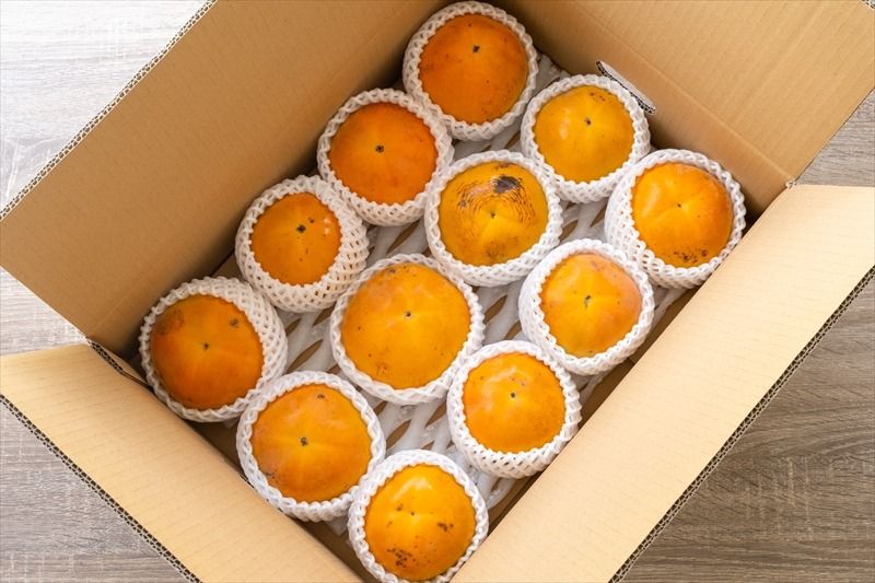 159-2048-06 [お買い得]大磯産『太秋柿』10〜15個入り(訳あり 約4kg)[出荷時期:2025年10月中旬〜2025年11月中旬][ 神奈川県 大磯町 ]