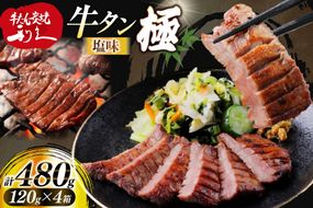 牛たん 炭焼 利久 牛たん極 (塩味) 4個 セット [利久 宮城県 気仙沼市 20566128] 牛タン 牛 肉 牛肉 タン 焼肉 キャンプ アウトドア バーベキュー BBQ 牛タン塩 牛たん塩 冷凍 小分け 個包装