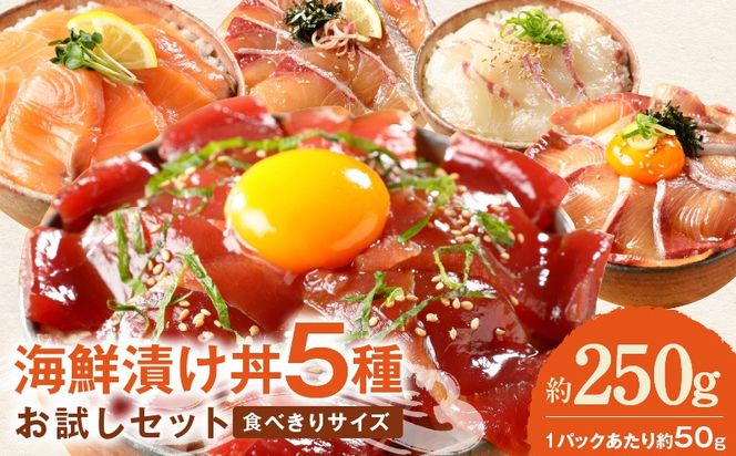 海鮮漬け丼 5種　お試しセット N019-YA192