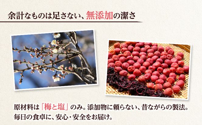 大河原産 昔ながらのすっぱいしそ梅干し 270g 20個セット ご飯のお供に 梅干し 梅干 うめぼし ウメボシ 梅 ごはんのお供 ご飯のお供 おにぎり 弁当 お弁当