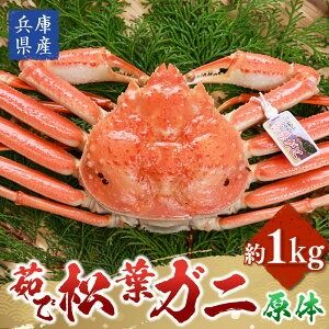 【ふるさと納税】松葉ガニの本場より プロ茹で松葉ガニ（冷凍） 1枚 1kg 原体 かに カニ 蟹 ズワイガニ 松葉ガニ 釜茹で 魚介 新鮮 海産物 急速冷凍 お取り寄せ 兵庫県 新温泉町 送料無料