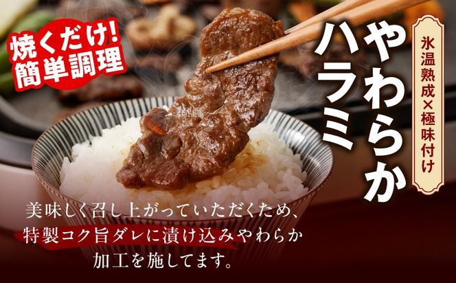 mrz0336 焼肉 福袋 4種 2kg【氷温熟成×特製ダレ 500g 小分け 牛肉 牛タン ヒレ ハラミ バラ 数量限定】