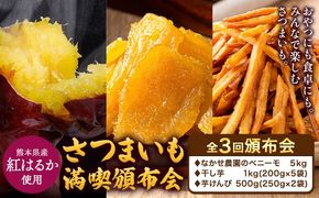 さつまいも 満喫頒布会 全3回 定期便 なかせ農園のベニーモ 干し芋 芋けんぴ 計6.5kg《お申込の翌月より発送開始》熊本県 大津町 さつまいも サツマイモ 紅はるか ほしいも 焼き芋 やきいも イモケンピ 中瀬農園 熊本県産 国産 頒布会 3ヶ月定期便---oz_ooztei_25_20500_mo3num1---