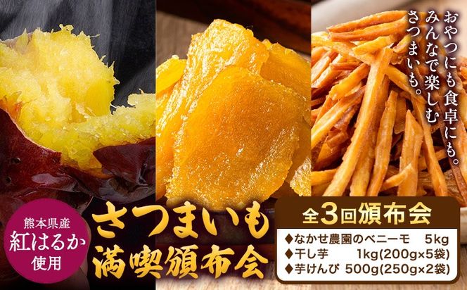 さつまいも 満喫頒布会 全3回 定期便 なかせ農園のベニーモ 干し芋 芋けんぴ 計6.5kg《お申込の翌月より発送開始》熊本県 大津町 さつまいも サツマイモ 紅はるか ほしいも 焼き芋 やきいも イモケンピ 中瀬農園 熊本県産 国産 頒布会 3ヶ月定期便---oz_ooztei_25_20500_mo3num1---