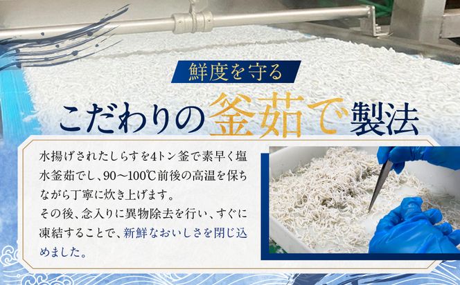 釜揚げしらす 12パック ( 160g × 12パック 約 2kg ) 天然 大洗 しらす シラス 魚 さかな 魚介 離乳食