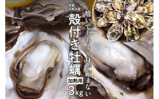 京都・久美浜産　殻付き牡蠣　3kg（30個前後）【加熱用】牡蠣ナイフ付　MN00065