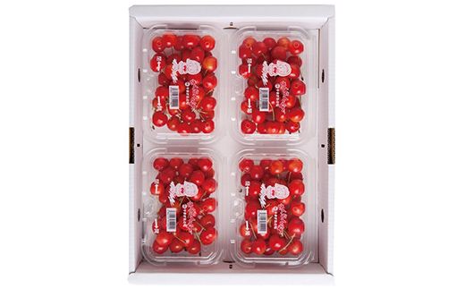 FYN6-531 ≪2026年先行予約≫山形県産 さくらんぼ 品種おまかせ(佐藤錦・紅秀峰など) 720g(180g×4P) 秀 L以上 フードパック詰め 2026年6月中旬頃より発送 果物 くだもの フルーツ サクランボ チェリー 家庭用 自宅用 産地直送 山形県 西川町 月山