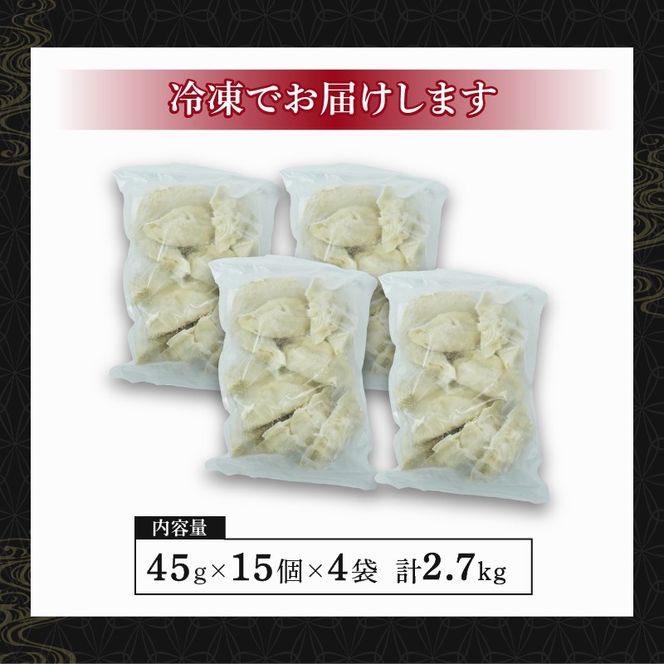 餃子 60個 ジャンボ  国産野菜 国産豚肉 冷凍 餃子 大きめ ぎょうざ ギョウザ ギョーザ おつまみ 冷凍食品 食品 惣菜 中華 惣菜 業務用 おかず ビール 藤枝