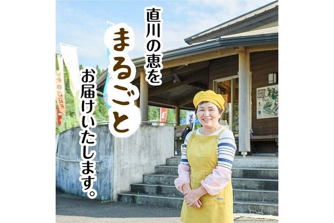 昔ながらの かりんとう セット (合計660g・110g×6種)お菓子 スイーツ よもぎ 大豆 おから 黒砂糖 黒ごま にんじん さつまいも 大分県 佐伯市【BF62】【直川まるごと市場】