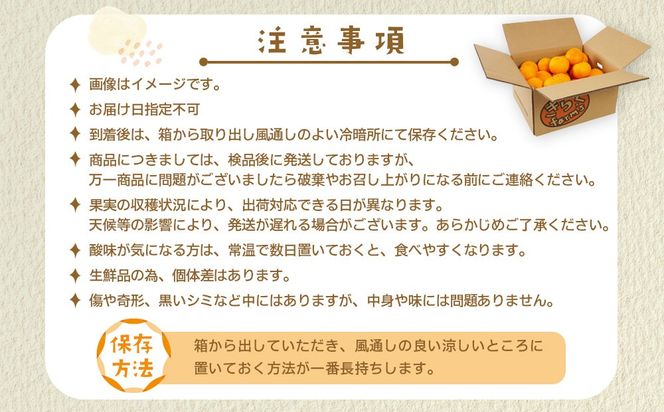 【産地直送】☆不知火☆家庭用☆約5kg    	AL10