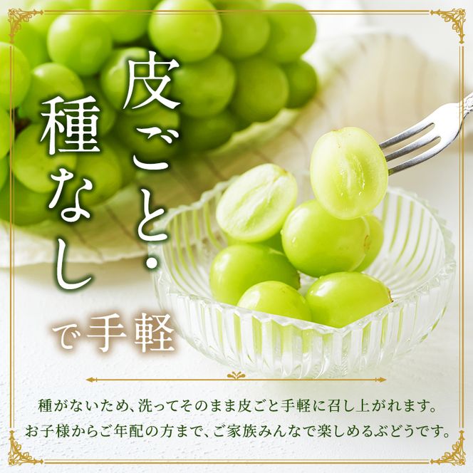 東かがわ市のちょこっと食卓応援品「訳ありシャインマスカット1房（約450g）」
