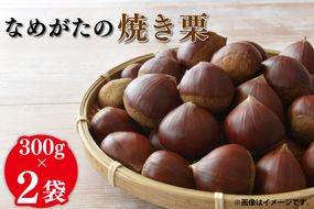 【2026年10月中旬より順次発送】なめがたの焼き栗(300g×2袋)｜栗 焼き栗 焼栗 くり クリ 熟成 真空 真空パック 先行予約 茨城県 行方市(CS-5)
