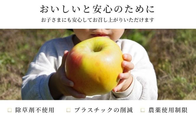 【2026年9月～発送】シナノスイート 家庭用 約5kg りんご リンゴ 林檎 果物 フルーツ 長野県 長野 山ノ内町