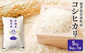 令和7年産 福井県若狭町 コシヒカリ （一等米） 5kg（神谷農園） 5kg×1袋 お米 ブランド米 銘柄米 ご飯 おにぎり お弁当 産地直送 和食 主食