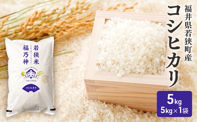 令和7年産 福井県若狭町 コシヒカリ （一等米） 5kg（神谷農園） 5kg×1袋 お米 ブランド米 銘柄米 ご飯 おにぎり お弁当 産地直送 和食 主食