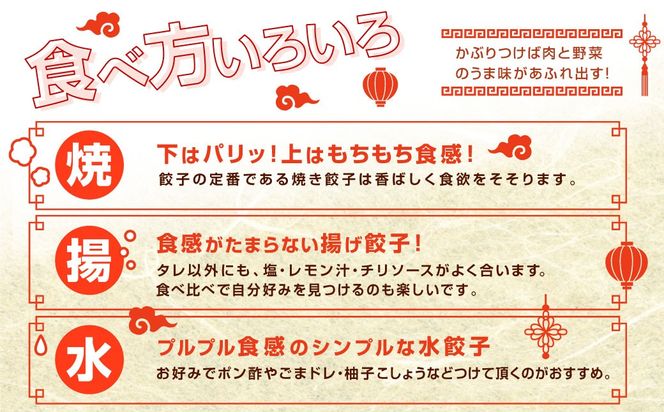 ＜たかなべギョーザ 冷凍ギョーザ 30個 計600g＞2ヶ月以内に順次出荷 餃子 ぎょうざ ギョウザ 惣菜 冷凍 おかず 宮崎県 高鍋町