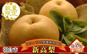 フルーツの里の直売所より 新高梨 5kg ナシ 果物 先行予約 