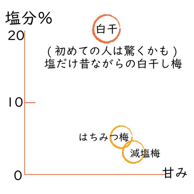 規格外品 無添加無農薬 昔ながらの梅干し 紀州南高梅 塩のみで漬けたすっぱい梅干し 800g（400gパック×2個）塩分約23% 3年熟成品 N20-K ［KU8］ 303446_ED90007