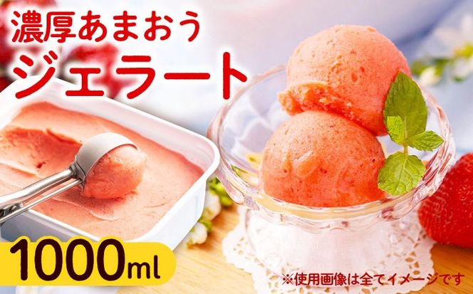 【採れたて】福岡産 濃厚 あまおう ジェラート 1000ml 《築上町》【南国フルーツ株式会社】アイス スイーツ イチゴ 苺 いちご[ABET005]