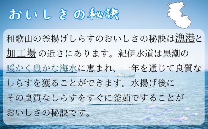 冷凍釜揚げしらす500g （100g×5パック） / シラス 厳選 小分け 冷凍便 お米のおとも【dig001B】