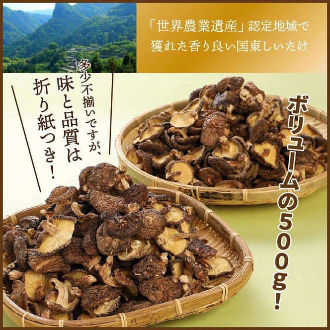 ボリュームの500g！国東しいたけ香ちゃん （徳用）_1735R