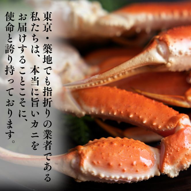 ボイル 本ずわいがに 2肩 500g × 1 カジマ ずわい蟹 ズワイガニ ずわいがに かに カニ 蟹