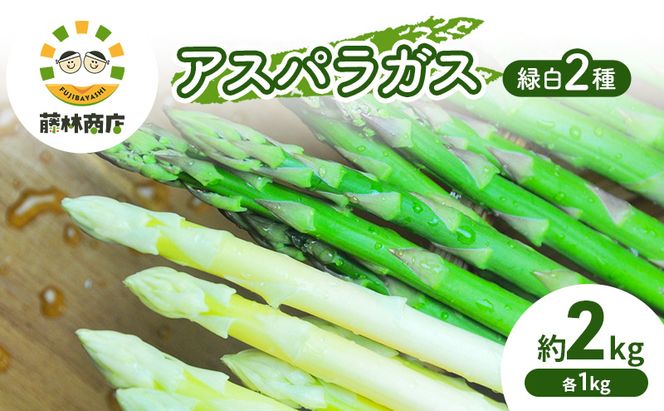 【2026年春発送】数量限定 グリーンアスパラ ホワイトアスパラ 計約2kg  野菜 アスパラ アスパラガス 新鮮 北海道 富良野