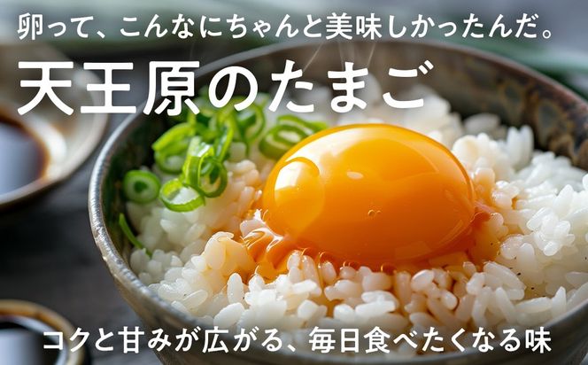 【定期便】３回定期 【天王原のたまご】 サクセス卵160個入り