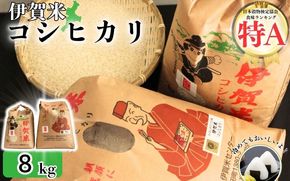 令和7年産 伊賀米コシヒカリ 8kg（3kg＋5kg）【jaig0001】