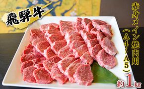飛騨牛　赤身メイン焼肉用　A4～A5等級使用　マルイおまかせ約1kg（500g×2p） お肉 牛肉 バーベキュー 1kg 