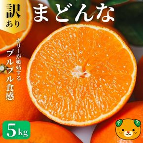 【先行予約：2026年11月20日～発送】訳あり まどんな 5kg 数量限定 愛果28号 紅まどんな 柑橘 かんきつ フルーツ 果物 旬 みかん ミカン 国産 サイズ不揃い 家庭用 おやつ 期間限定 みかん マドンナ 愛媛県 愛南町 愛南町青果市場組合