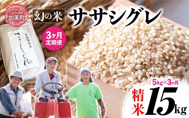 【新米予約】《 希少品種米 》 米 令和8年 宮城県産 ササシグレ ( 栽培期間中農薬・肥料不使用 ) 【 3回 定期便 】 精米 白米 5kg × 3ヶ月 （ 合計 15kg ）｜ 宮城県 加美町 無農薬 お米 こめ コメ ささしぐれ ササニシキ の 父 ｜ nt-ss05-t3-r8 | nt-ss05-t3-r8