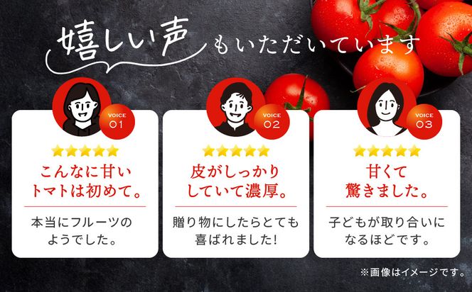 出雲の國からの贈り物～トマトを超えた超トマト１kg 322032_AT001