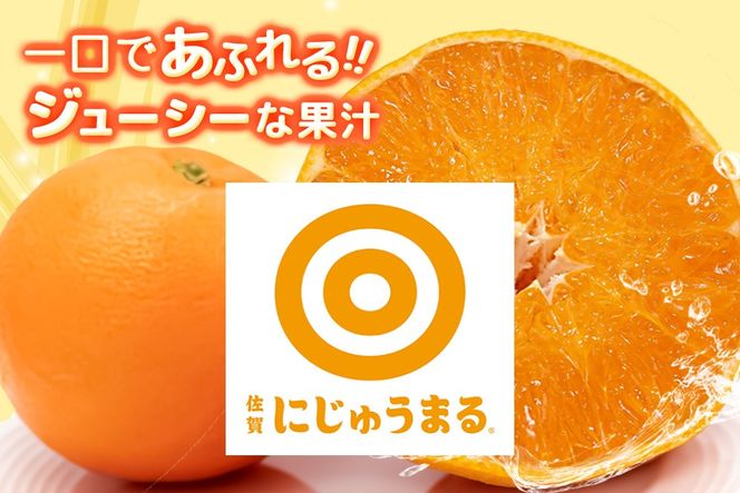 【2027年3月上旬より発送開始】にじゅうまる 約5kg バラ入り【佐賀県 みかん 柑橘 果物 くだもの フルーツ】(H116162)