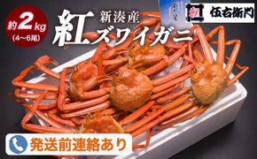 【伍右衛門】新湊産紅ズワイガニ約2kg（4～6尾）｜ずわい蟹 ずわいガニ ズワイガニ ※2026年9月～発送 ※発送まで1か月以上かかる場合があります。