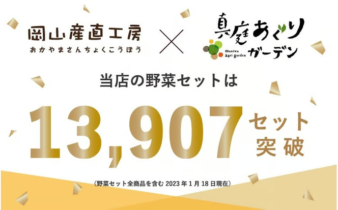 岡山の旬をお届け！ 真庭あぐり野菜セット 10～11品 便利なカット野菜入り / 産地直送 農家 お試し 岡山県 新鮮 あぐりガーデン 国産 【配送不可地域：北海道／沖縄県／離島】 【jujy047-01】
