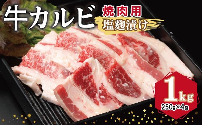 y{򍲖szG3350 Jr ēp Ђ v1kgyt  Ă ȒP BBQ  250g×4܁z