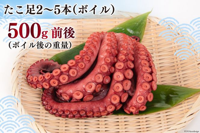 タコ 三陸産 浜ゆでだこ 約500g (足2～5本入) [村東商店 宮城県 気仙沼市 20564846] たこ 蛸 茹でダコ 茹で蛸 茹蛸 三陸 冷凍 タコ足 蛸足 たこ足 水ダコ 水蛸 水だこ 浜ゆで ごちそう 海鮮 魚介 魚介類