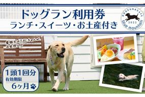 メール便でお届け！ドッグラン利用券(ランチ・スイーツ・お土産付き)(1頭1回分) 犬 ワンちゃん ペット チケット おやつ カフェ 体験 レジャー 自然 屋内 屋内 ラン ポスト投函 大分県 佐伯市【HI001】【ドッグラン&カフェblue mountain】