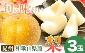 【2026年先行予約】紀州和歌山県産の梨 3玉 化粧箱入 魚鶴商店《8月中旬-9月上旬出荷》和歌山県 日高川町 和歌山県産 梨 なし ナシ 贈り物 ギフト---wshg_uot66_8c9j_24_10000_3t---