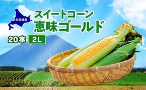  北海道産 スイート コーン めぐみゴールド 2Lサイズ 20本 先行受付 2026年8月上旬～下旬頃お届け とうもろこし 恵味 めぐみ トウモロコシ 旬 完熟 朝もぎ 野菜 産地直送 お取り寄せ 北海道 丸田農園 洞爺湖 