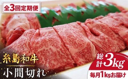 [全3回定期便][月限定10個]希少 糸島 和牛 こまぎれ 1kg 糸島 / トラヤミートセンター [AJD011] すき焼き 切り落とし しゃぶしゃぶ 焼肉 赤身 黒毛和牛牛肉