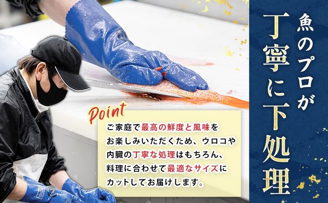 【12/21まで年内お届け】プロ厳選 北海道産 天然 鮮魚セット ＜冷蔵＞ 500g～1kg　鮮魚ボックス 詰め合わせ 刺身 下処理 切り身 料理に 人気 ヒロセ 産地直送 魚介 海鮮 年内配送 年内発送 北海道 釧路町 釧路超 特産品　121-1262-142-001