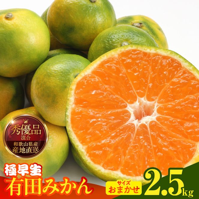 【2026年先行予約】みかん 極早生 箱込 2.5kg ( 内容量2.3kg ) おまかせサイズ（S/M/L）秀品・優品 の混合 有田みかん 和歌山県産_MK1073