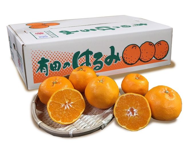 【先行予約】【まごころ手選別】和歌山県産 はるみ 約4～5kg（12～24玉）秀品 S～4Lサイズ混合 柑橘